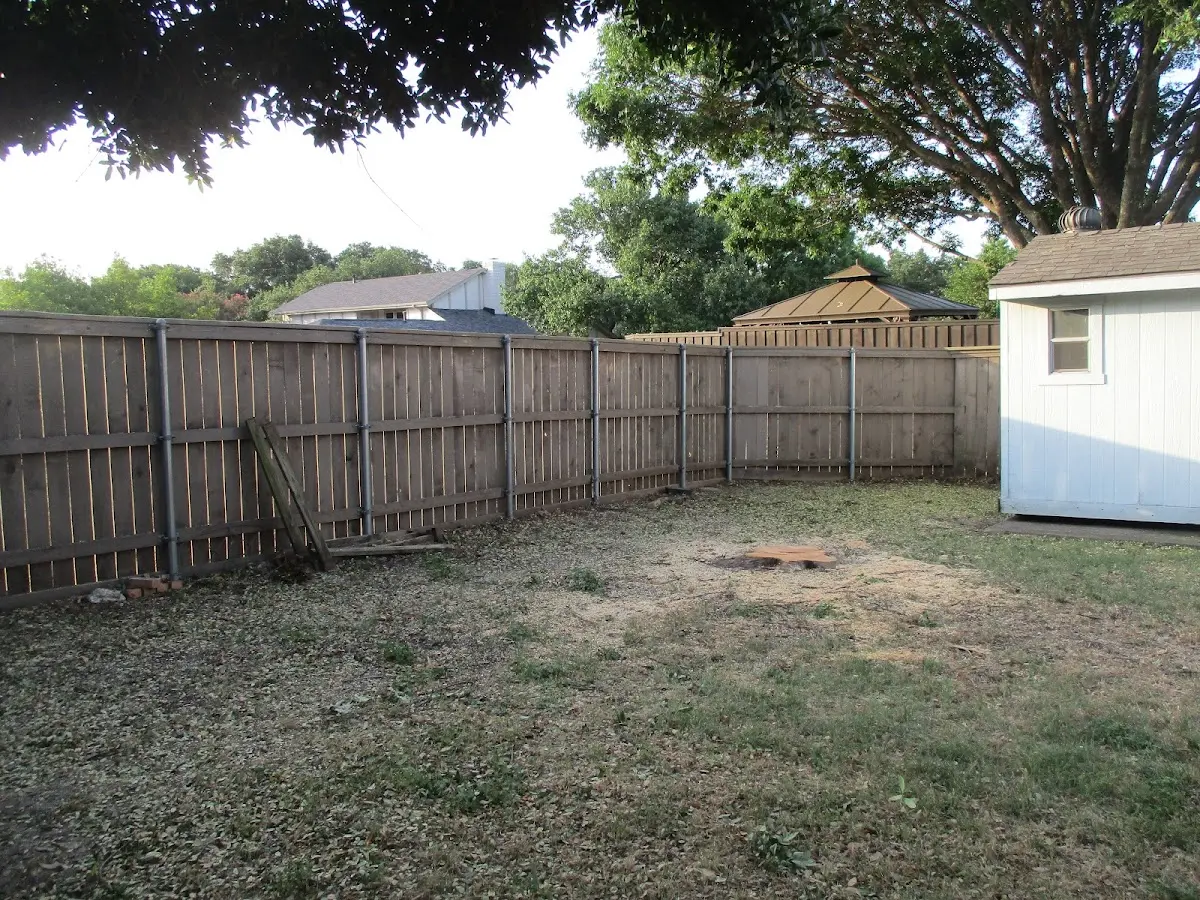 Cleared yard after professional tree removal in Bagdad